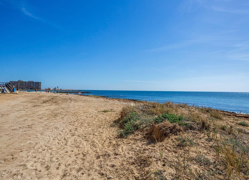 Rynek Wtórny - Apartament - Torrevieja - Estacion de autobuses