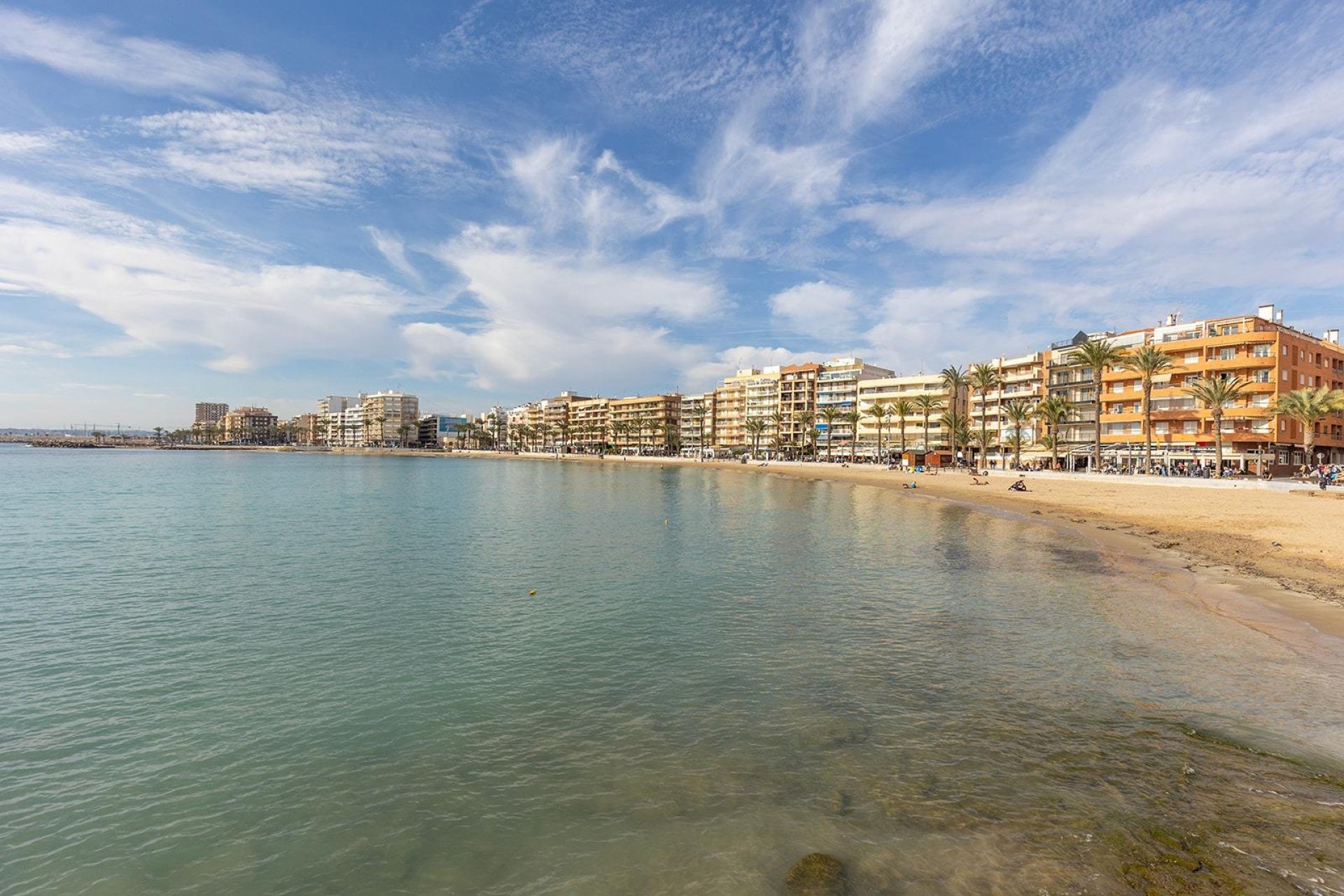 Rynek Wtórny - Apartament - Torrevieja - Estacion de autobuses