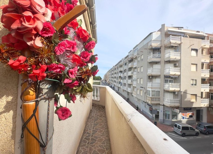 Rynek Wtórny - Apartament - Torrevieja - Estacion de autobuses