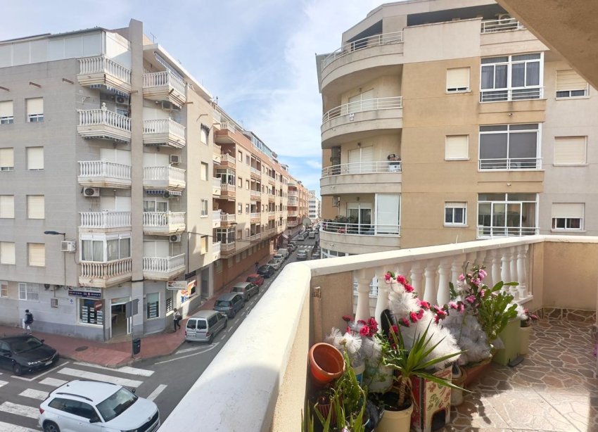 Rynek Wtórny - Apartament - Torrevieja - Estacion de autobuses