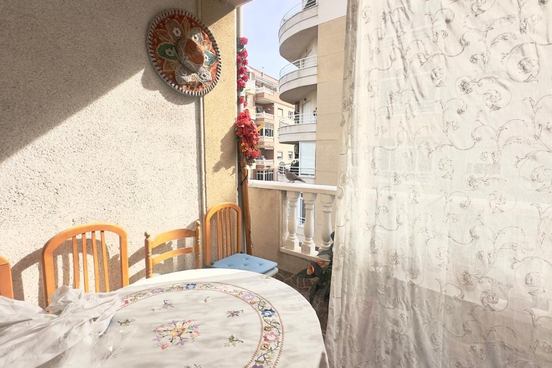 Rynek Wtórny - Apartament - Torrevieja - Estacion de autobuses