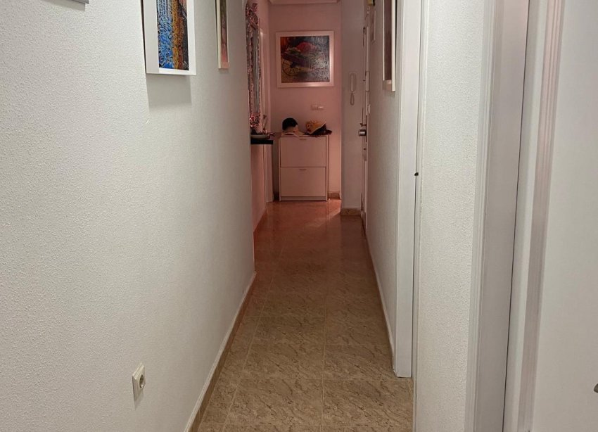 Rynek Wtórny - Apartament - Torrevieja - Estacion de autobuses