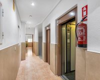 Rynek Wtórny - Apartament - Torrevieja - Habaneras