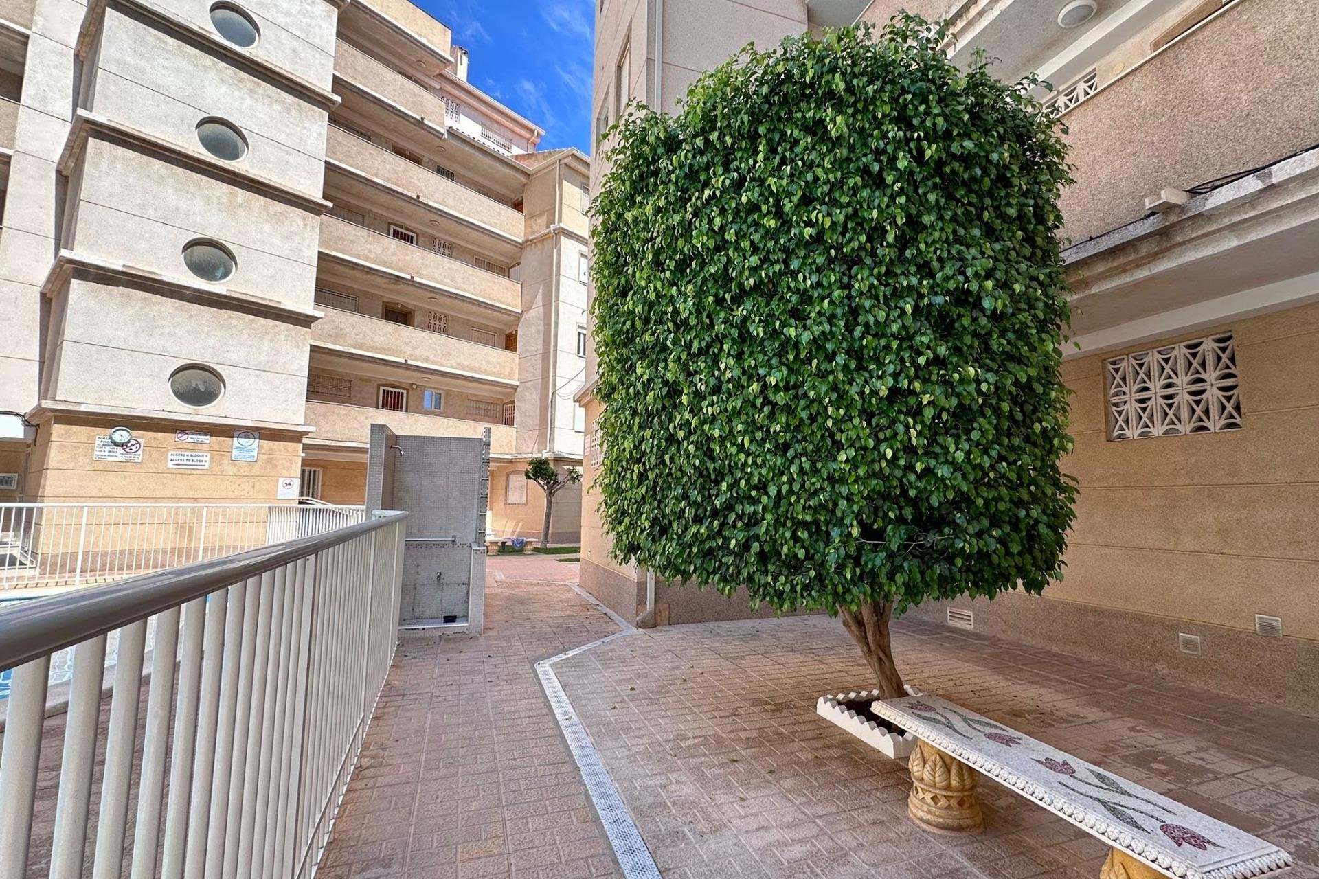 Rynek Wtórny - Apartament - Torrevieja - Habaneras
