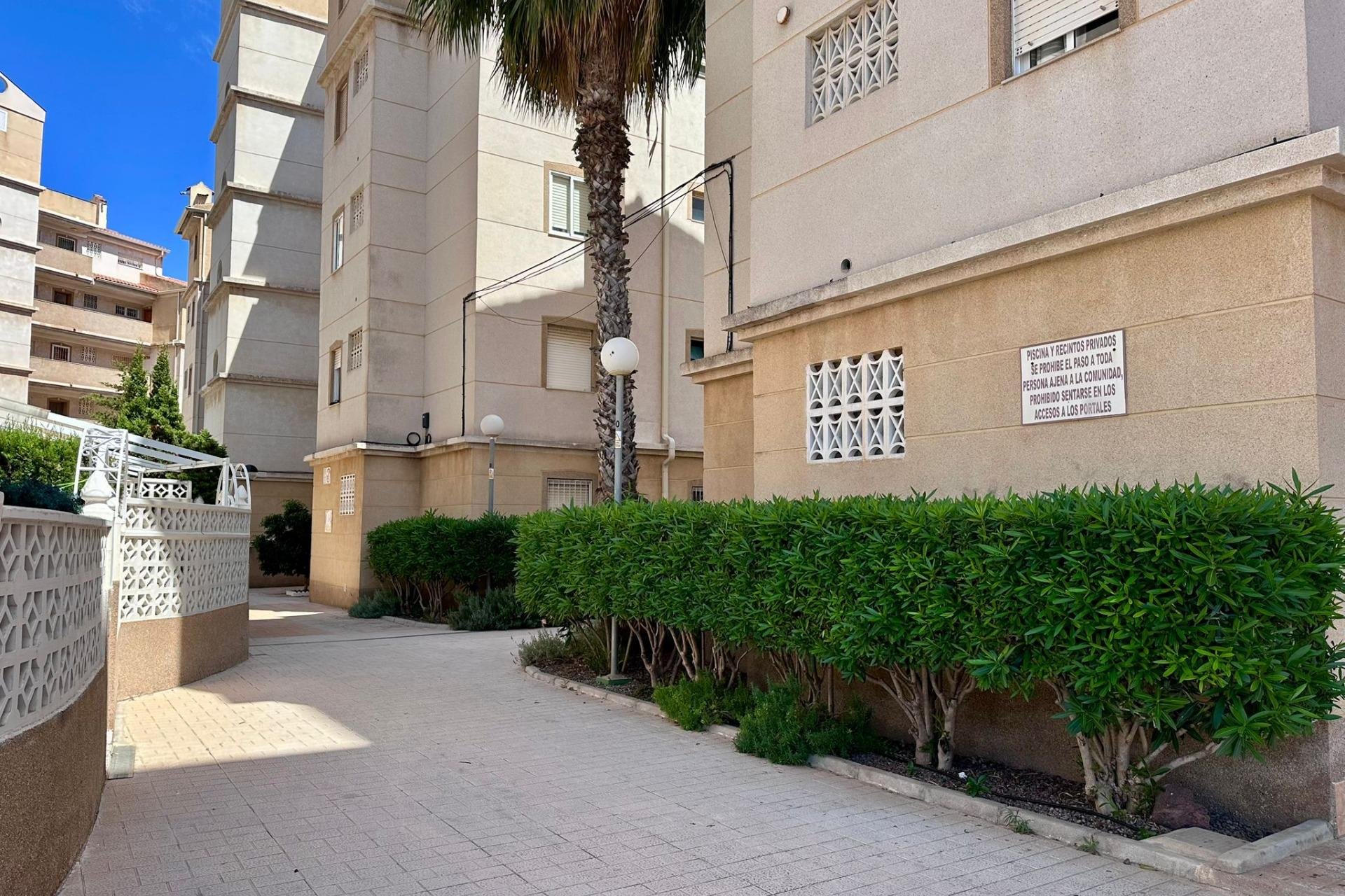 Rynek Wtórny - Apartament - Torrevieja - Habaneras