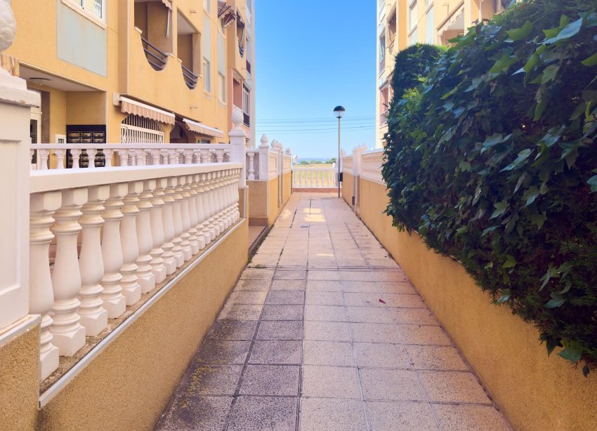 Rynek Wtórny - Apartament - Torrevieja - La Mata pueblo
