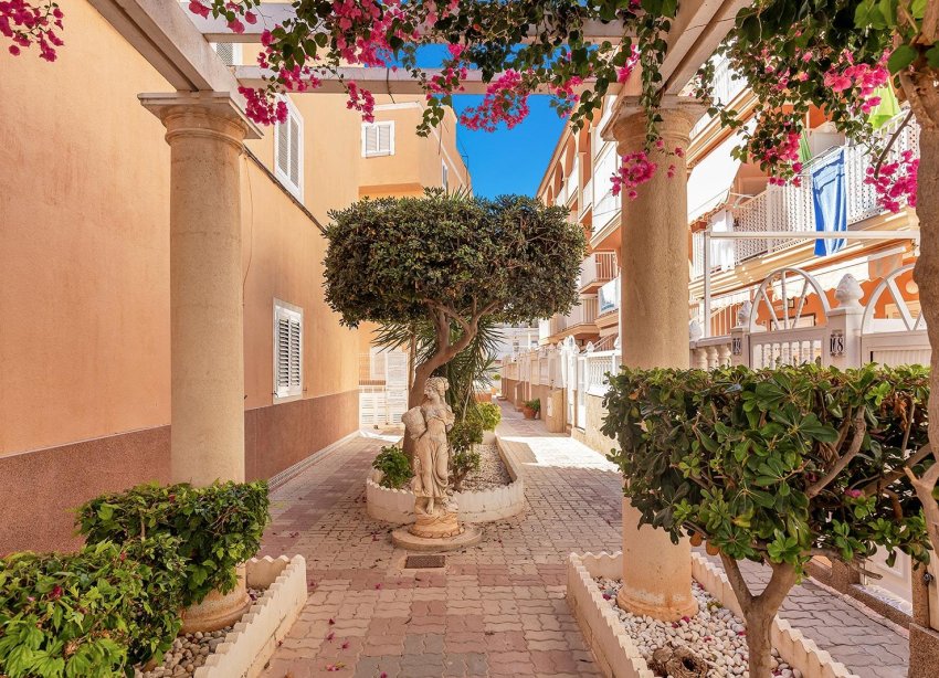 Rynek Wtórny - Apartament - Torrevieja - La Mata pueblo