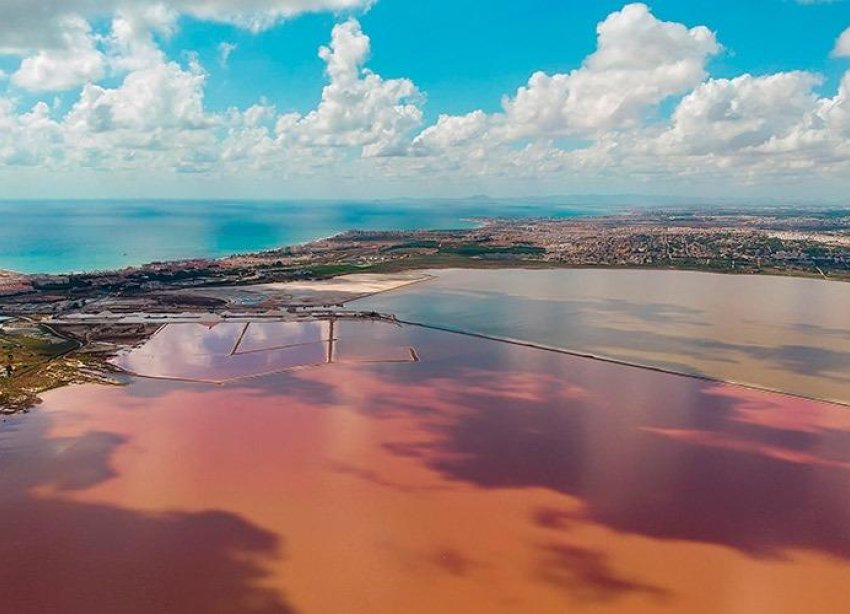 Rynek Wtórny - Apartament - Torrevieja - La Mata