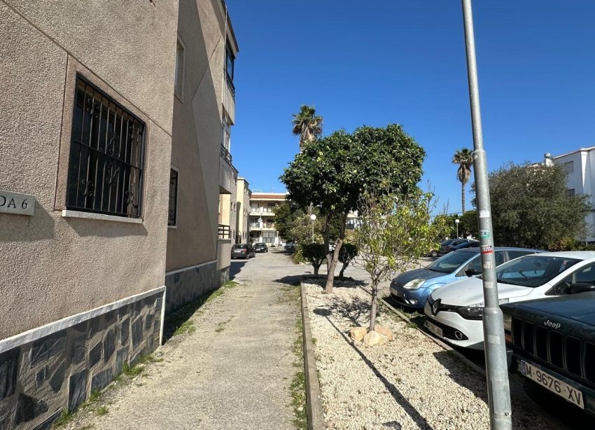 Rynek Wtórny - Apartament - Torrevieja - La Siesta - El Salado - Torreta