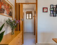Rynek Wtórny - Apartament - Torrevieja - La Siesta