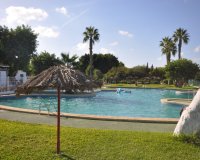 Rynek Wtórny - Apartament - Torrevieja - Lago Jardin