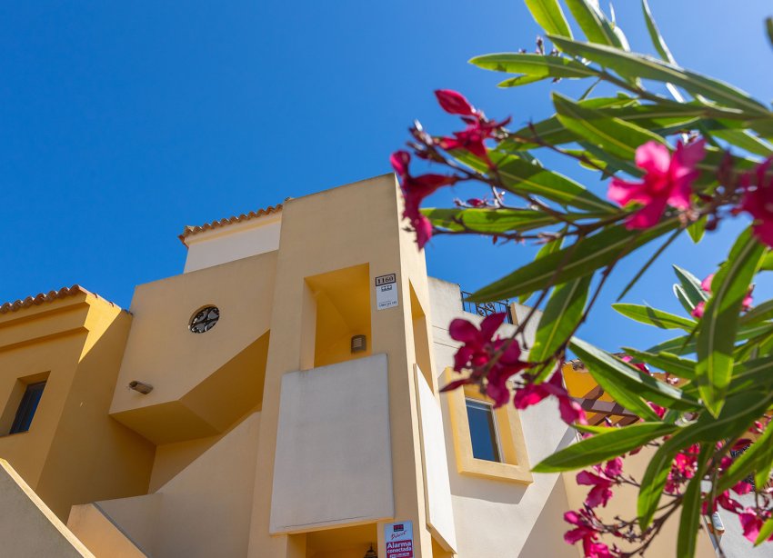 Rynek Wtórny - Apartament - Torrevieja - Los Altos