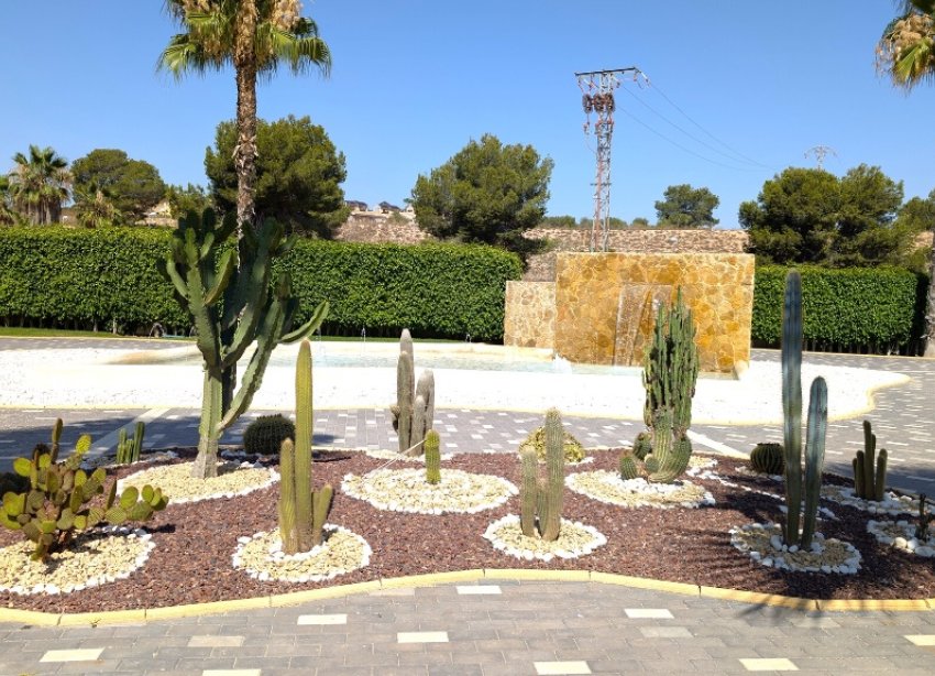 Rynek Wtórny - Apartament - Torrevieja - Los Altos