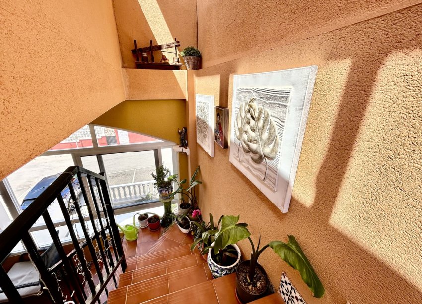Rynek Wtórny - Apartament - Torrevieja - Los Altos