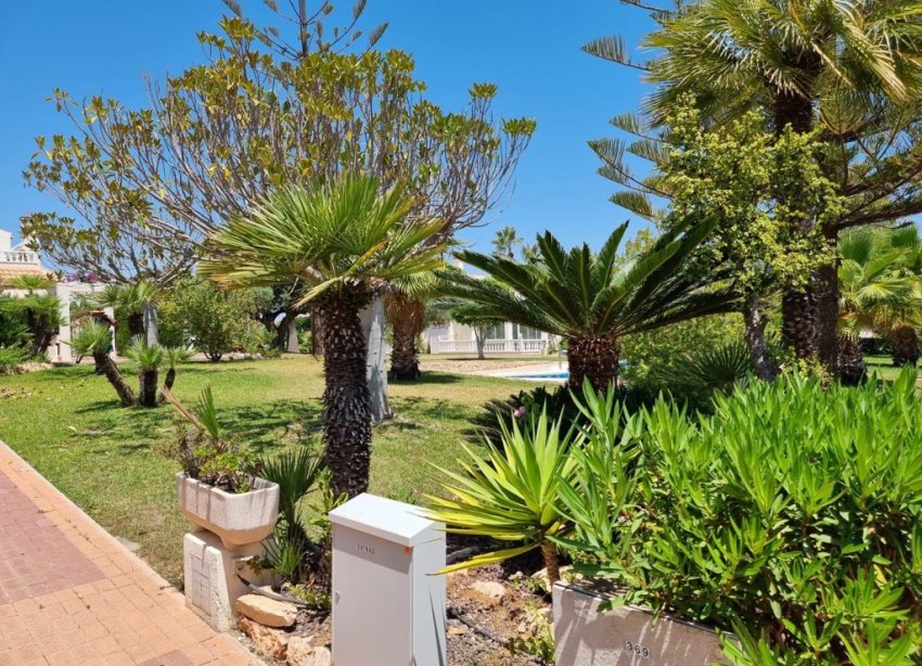 Rynek Wtórny - Apartament - Torrevieja - Los Balcones