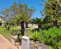 Rynek Wtórny - Apartament - Torrevieja - Los Balcones