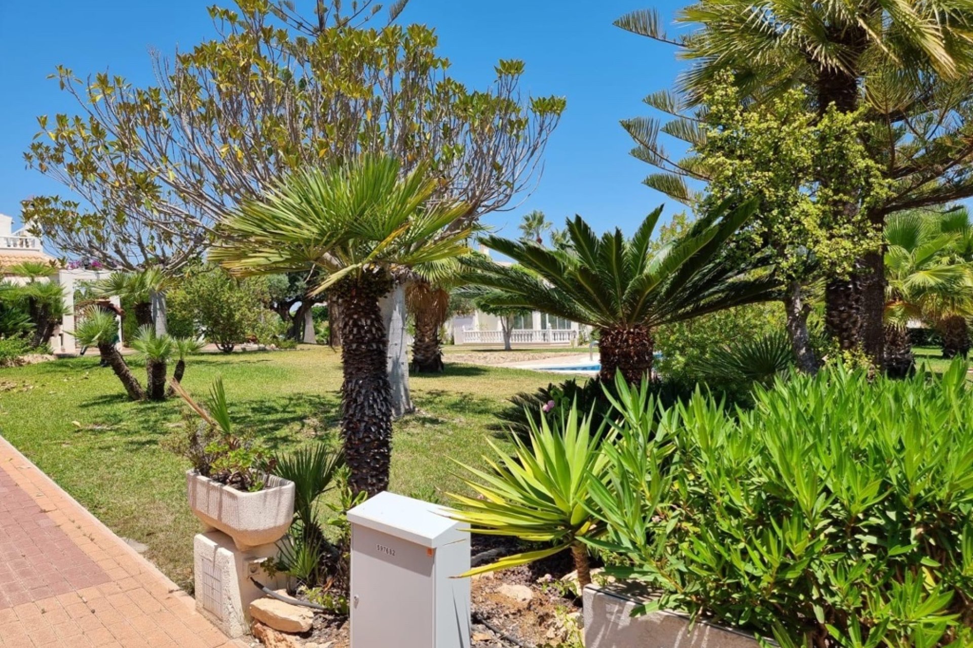 Rynek Wtórny - Apartament - Torrevieja - Los Balcones