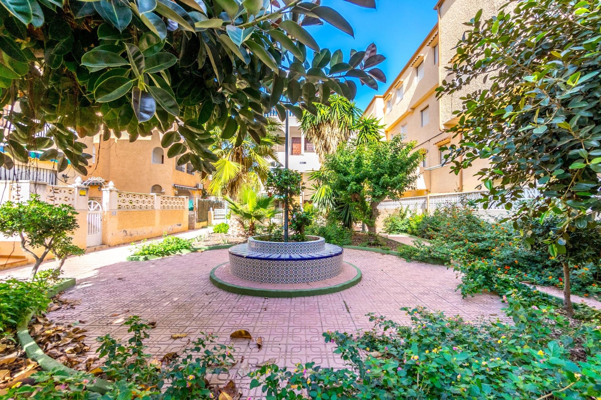 Rynek Wtórny - Apartament - Torrevieja - Los Europeos