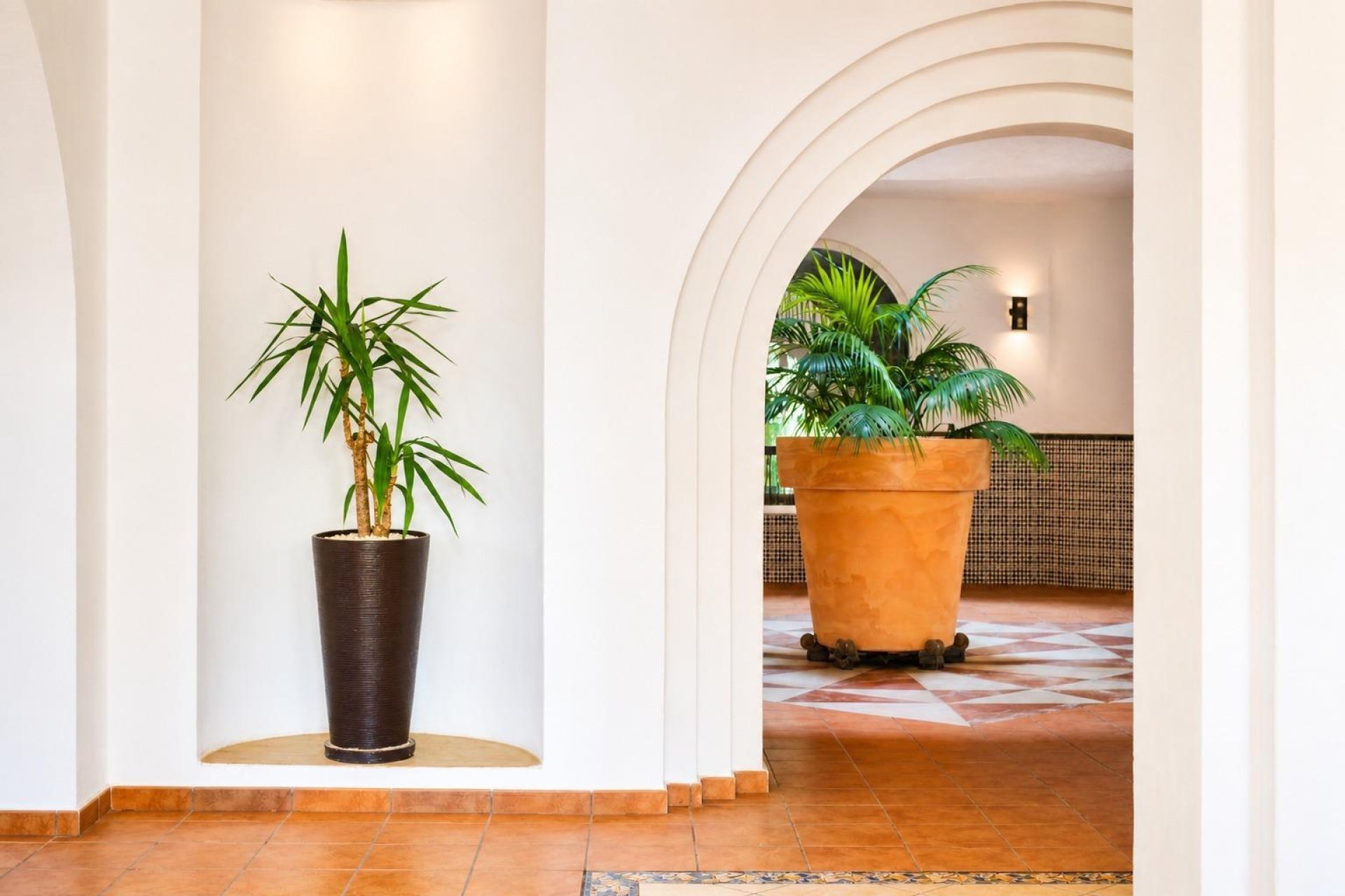 Rynek Wtórny - Apartament - Torrevieja - Los Frutales