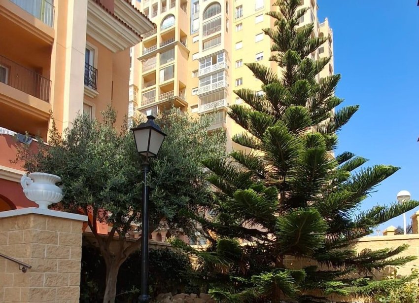 Rynek Wtórny - Apartament - Torrevieja - Los Frutales