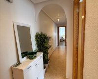 Rynek Wtórny - Apartament - Torrevieja - Nueva Torrevieja