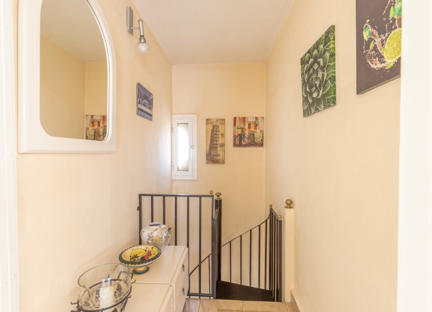 Rynek Wtórny - Apartament - Torrevieja - Nueva Torrevieja