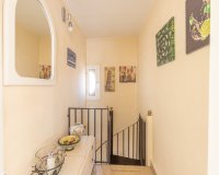 Rynek Wtórny - Apartament - Torrevieja - Nueva Torrevieja