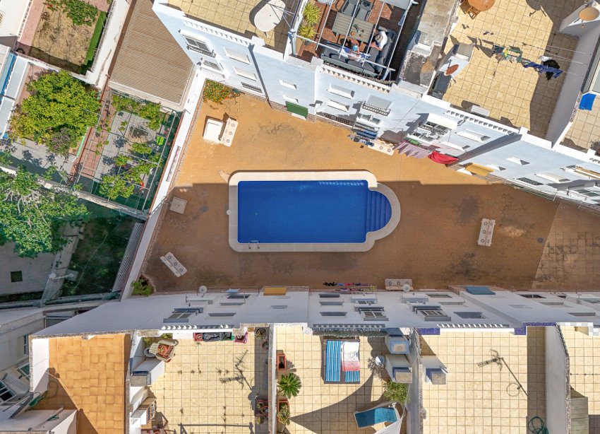 Rynek Wtórny - Apartament - Torrevieja - Nueva Torrevieja