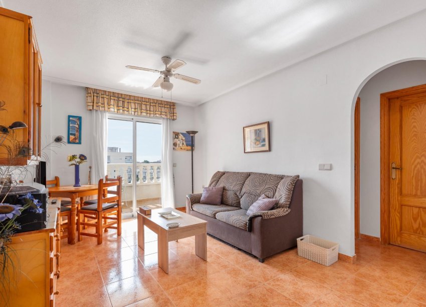 Rynek Wtórny - Apartament - Torrevieja - Nueva Torrevieja