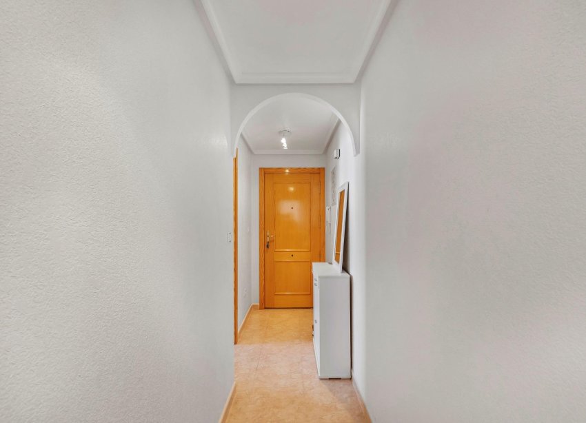 Rynek Wtórny - Apartament - Torrevieja - Nueva Torrevieja
