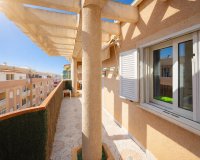 Rynek Wtórny - Apartament - Torrevieja - Parque de Las Naciones