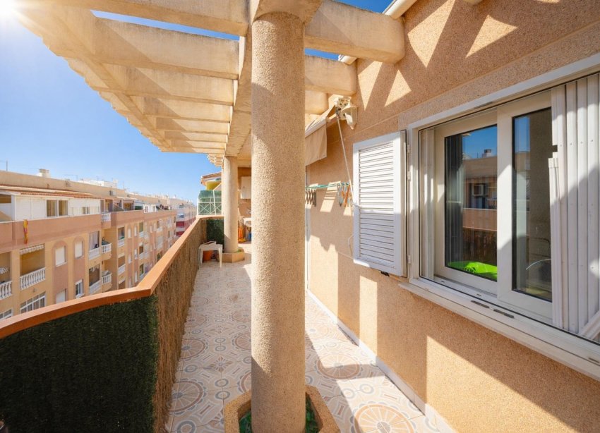 Rynek Wtórny - Apartament - Torrevieja - Parque de Las Naciones