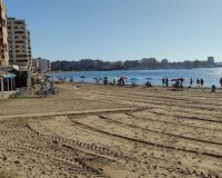 Rynek Wtórny - Apartament - Torrevieja - Parque de las Naciones