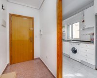 Rynek Wtórny - Apartament - Torrevieja - Parque de Las Naciones