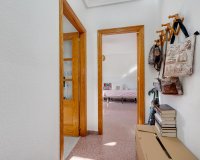 Rynek Wtórny - Apartament - Torrevieja - Parque de Las Naciones