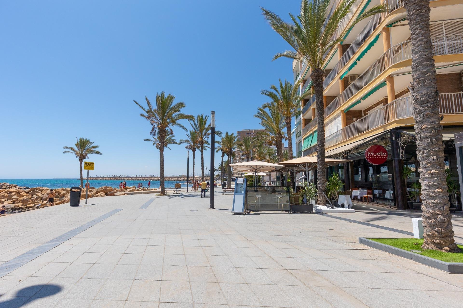 Rynek Wtórny - Apartament - Torrevieja - Paseo maritimo