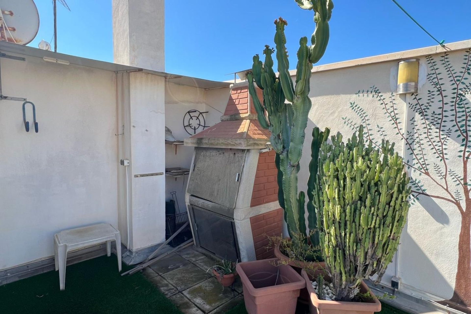 Rynek Wtórny - Apartament - Torrevieja - Playa de los locos