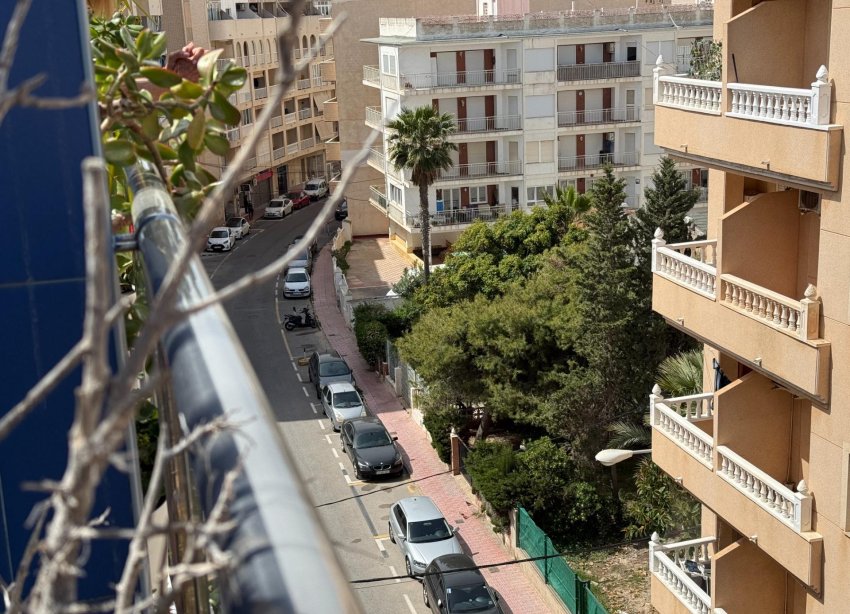 Rynek Wtórny - Apartament - Torrevieja - Playa de los locos