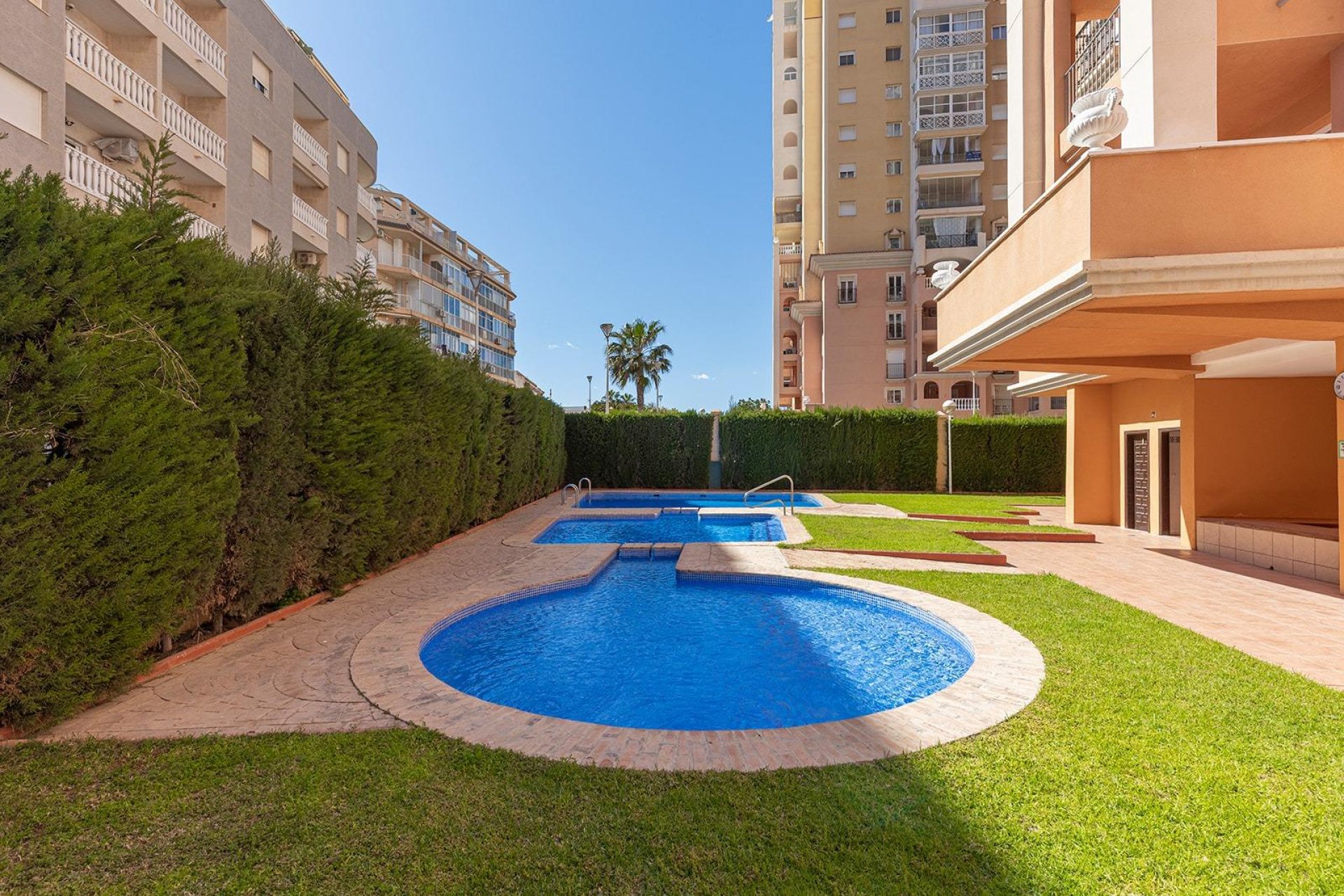 Rynek Wtórny - Apartament - Torrevieja - Playa de los locos