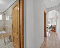 Rynek Wtórny - Apartament - Torrevieja - Playa de los locos