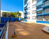 Rynek Wtórny - Apartament - Torrevieja - Playa de los Locos