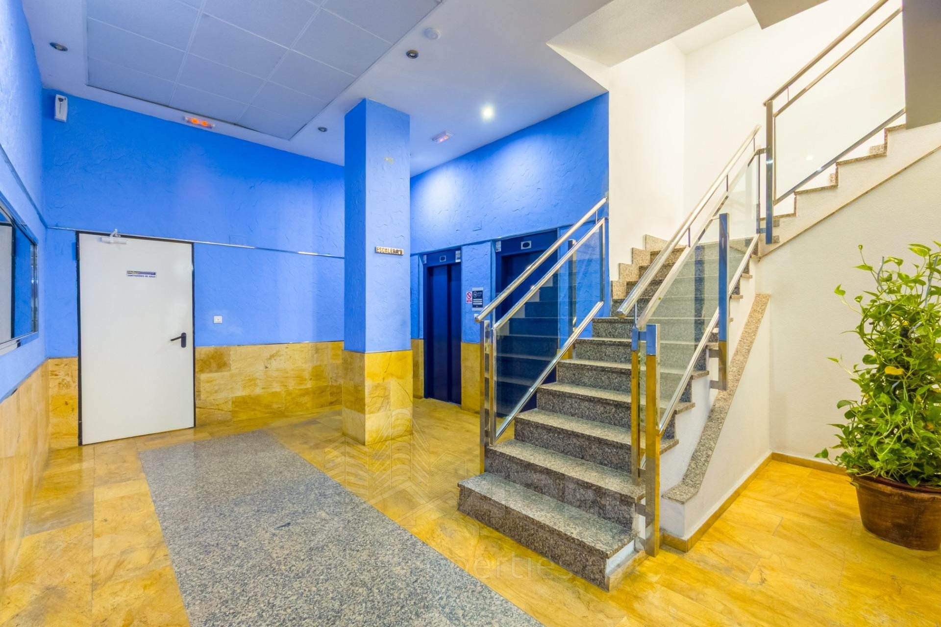 Rynek Wtórny - Apartament - Torrevieja - Playa de los Locos