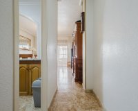 Rynek Wtórny - Apartament - Torrevieja - playa de los naufragos