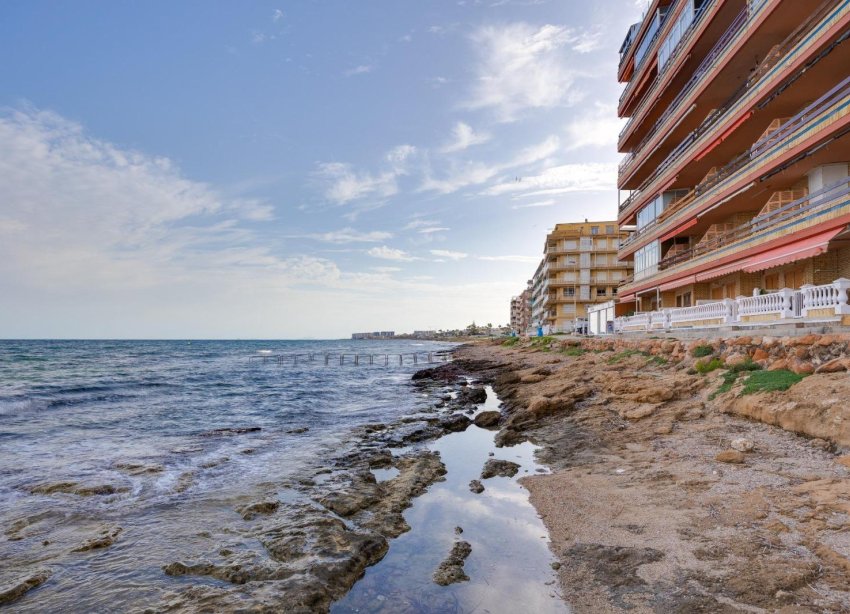 Rynek Wtórny - Apartament - Torrevieja - playa de los naufragos