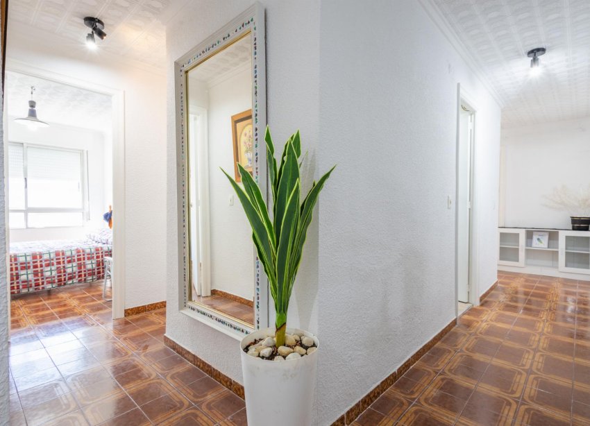 Rynek Wtórny - Apartament - Torrevieja - Playa del Acequión