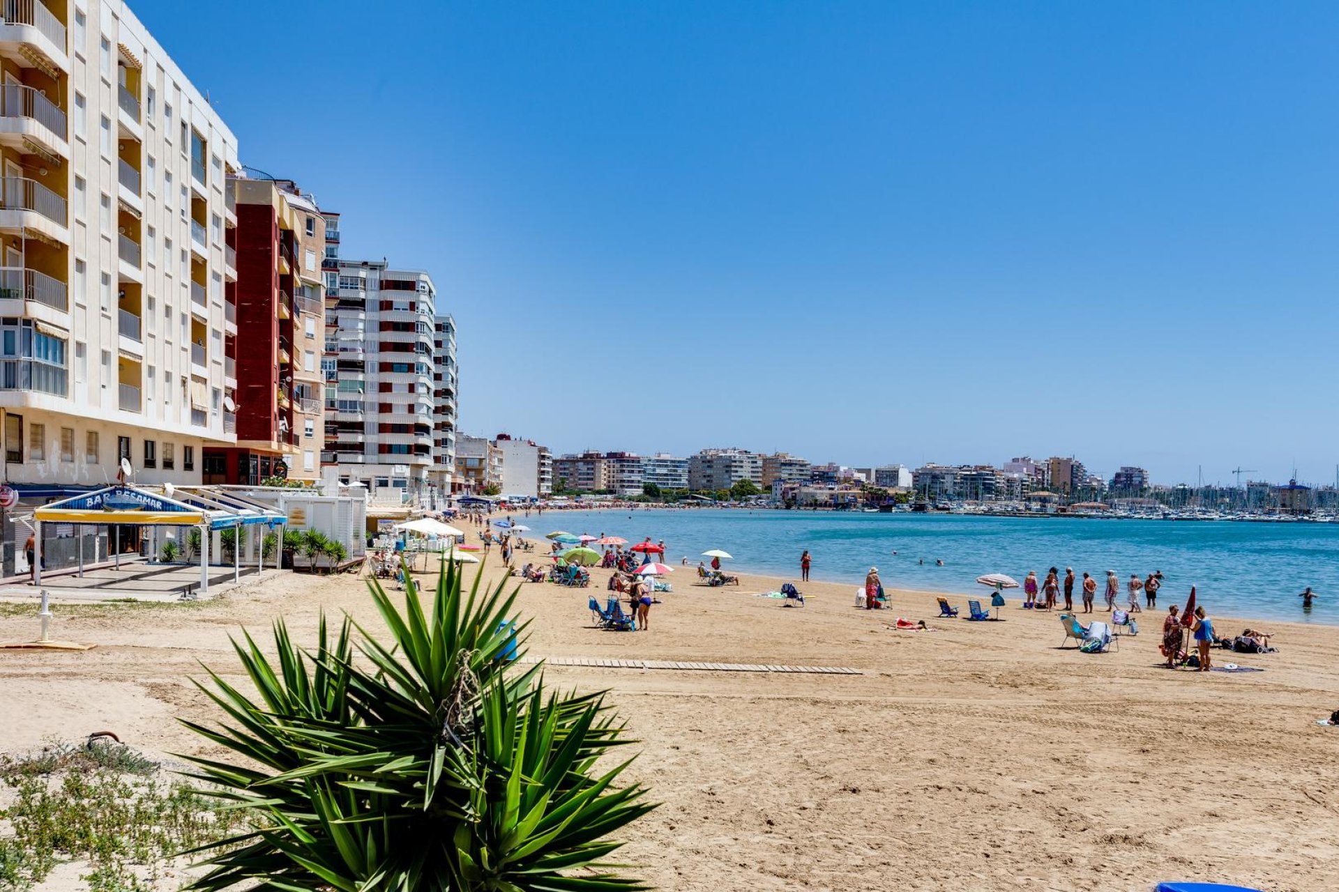 Rynek Wtórny - Apartament - Torrevieja - Playa del Acequión