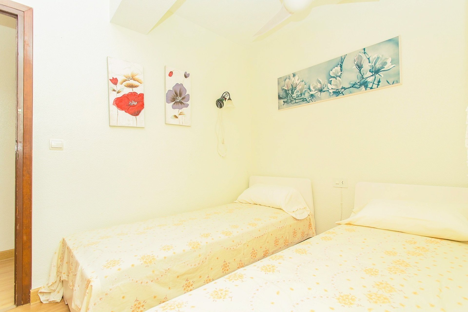 Rynek Wtórny - Apartament - Torrevieja - Playa del cura