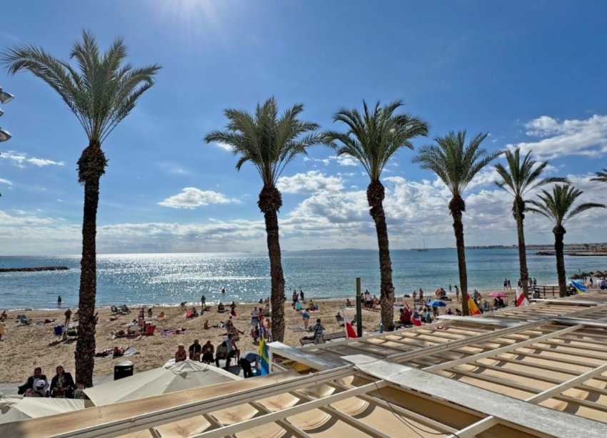 Rynek Wtórny - Apartament - Torrevieja - Playa del Cura