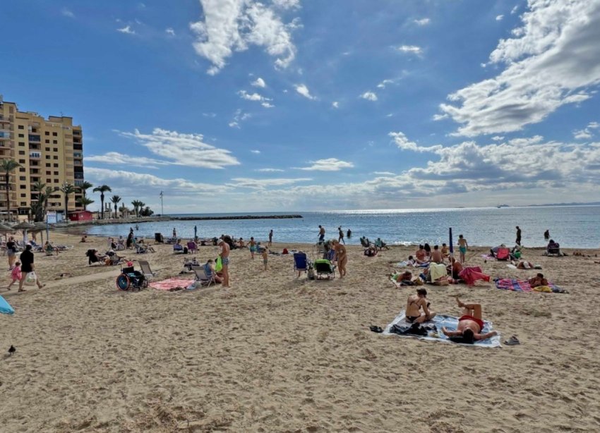 Rynek Wtórny - Apartament - Torrevieja - Playa del Cura