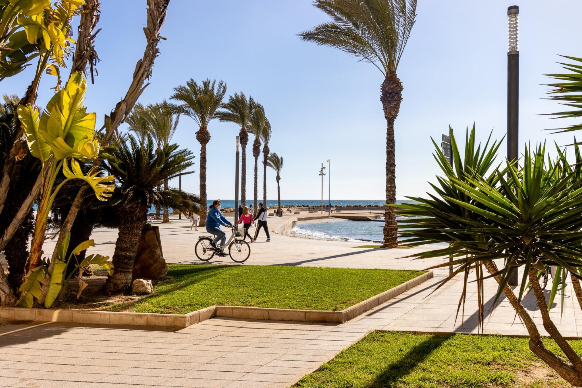 Rynek Wtórny - Apartament - Torrevieja - Playa del cura